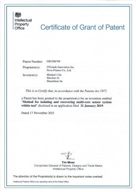 【NF-19-PCT-GB-03】GB2586709 Method for isolating and repairing multi-core sensor within taxi.jpg