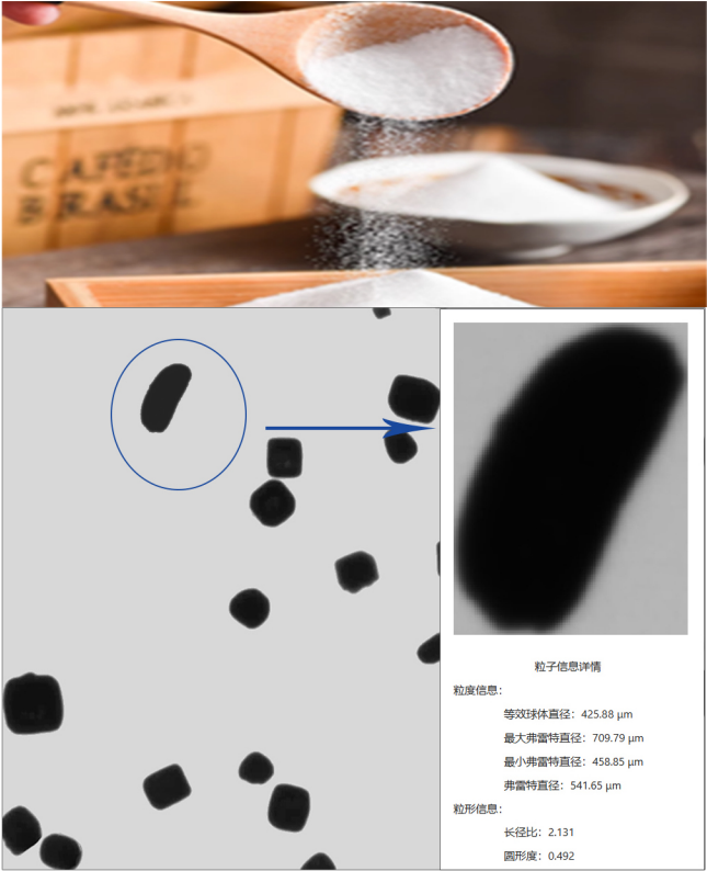 SND5000动态图像粒度仪可高清成像.png